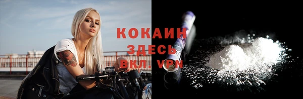 прущие грибы Арсеньев