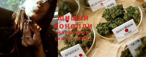 крисы Аркадак