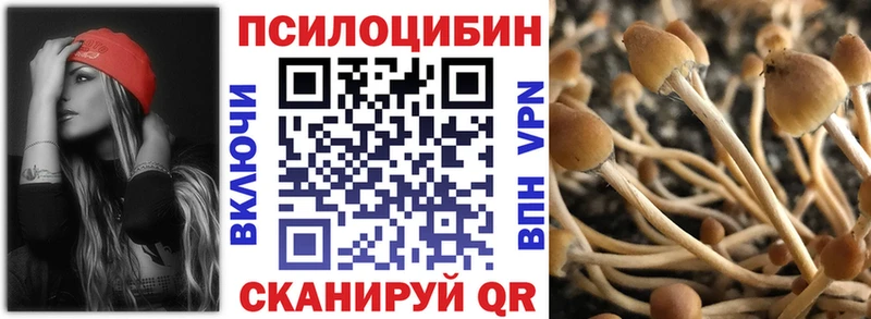 Купить где  Суоярви  Галлюциногенные грибы Magic Shrooms 